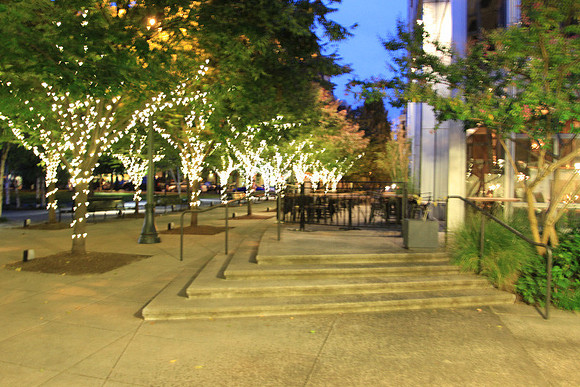 Jamason Park-6568
