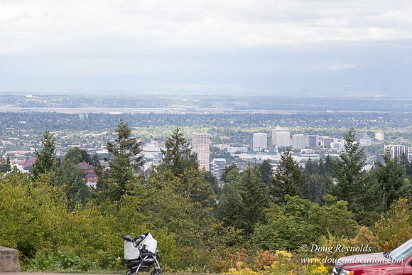 Council Crest Park View