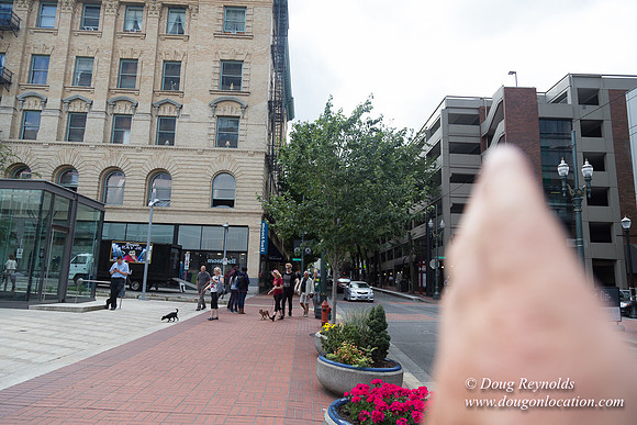 Portland Streets