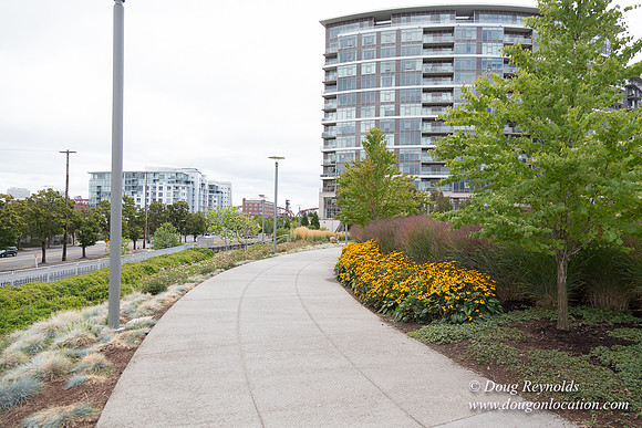 The Fields Park
