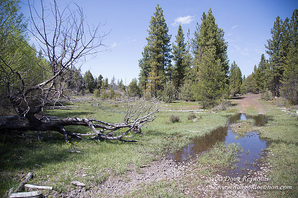 Ranch 18