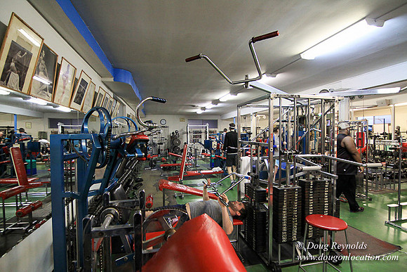 Work Out Gym #7