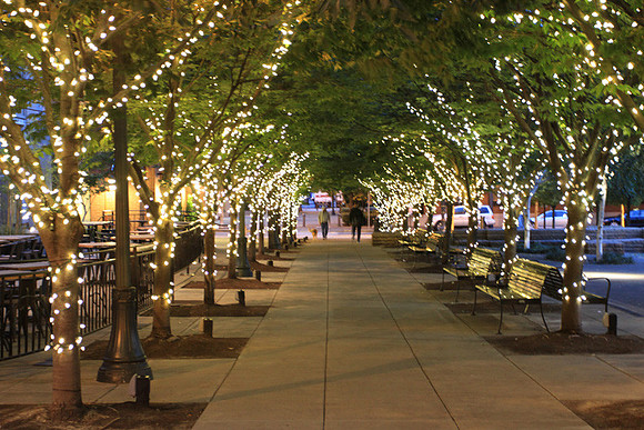 Jamason Park-6537