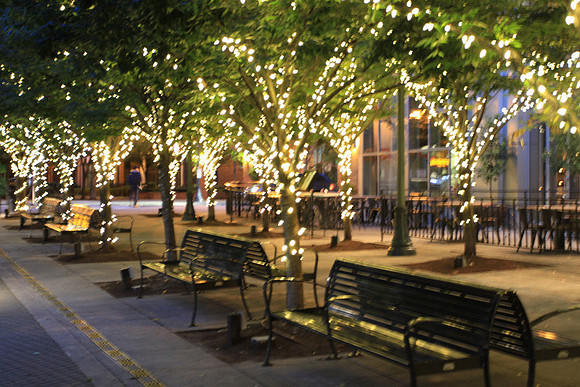 Jamason Park-6551