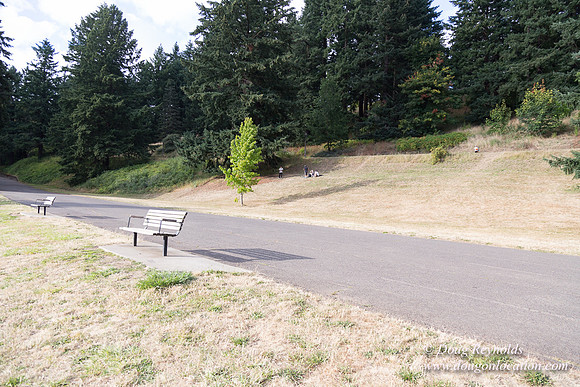 Mt Tabor- View 5 SBT West