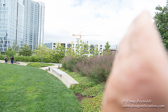 The Fields Park