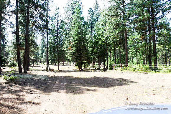 Ranch 18