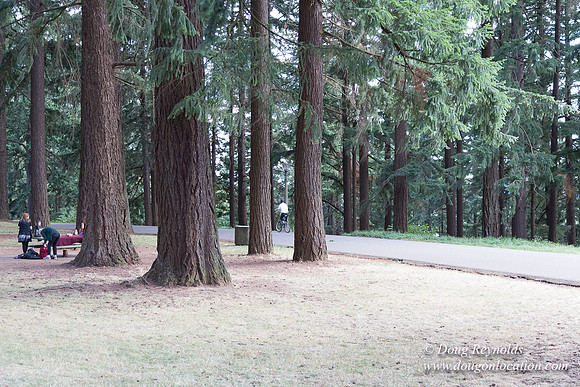 Mt Tabor Top- View 3 West