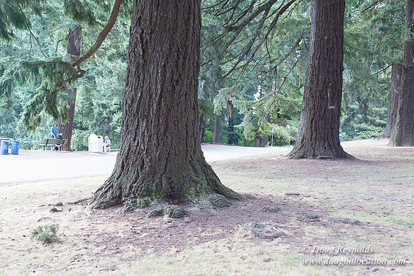 Mt Tabor Top- View 3 West