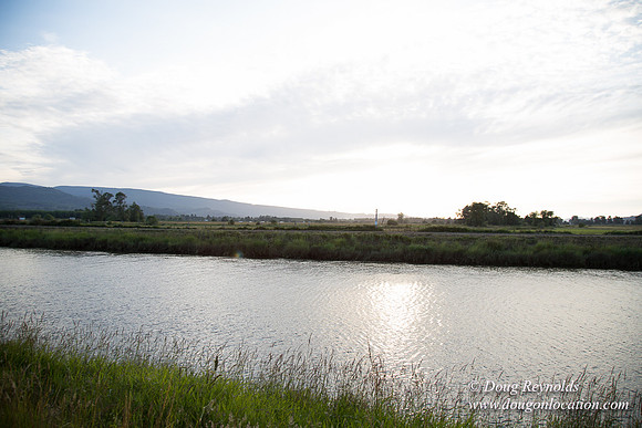 LCG & GWG Tree Farm