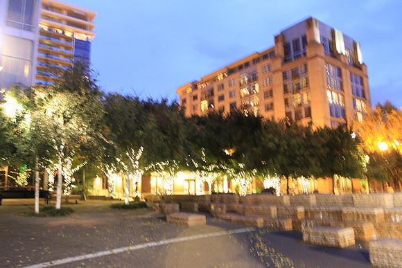 Jamason Park-6580
