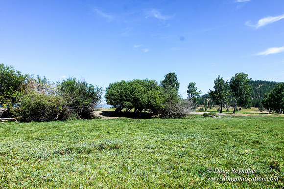 Ranch 18