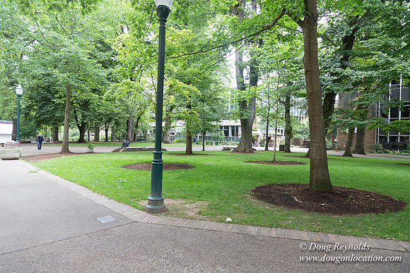 Portland Streets