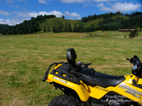 Ranch 6
