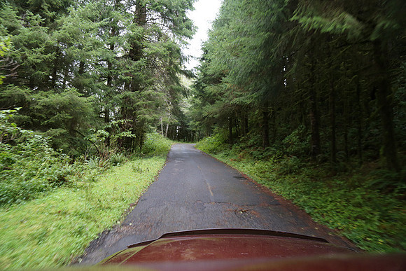 Saddle Mt Rd-0328
