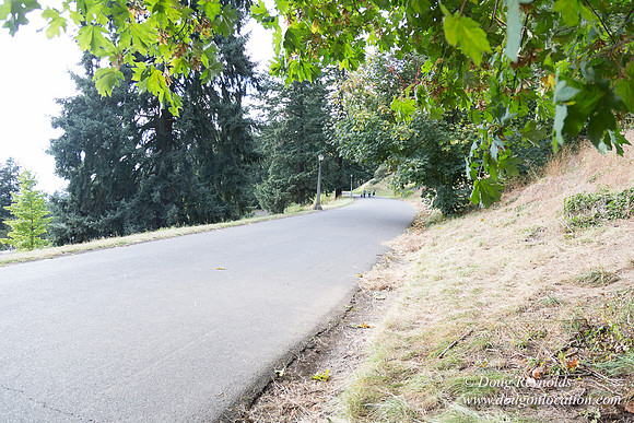 Mt Tabor- View 5 SBT West