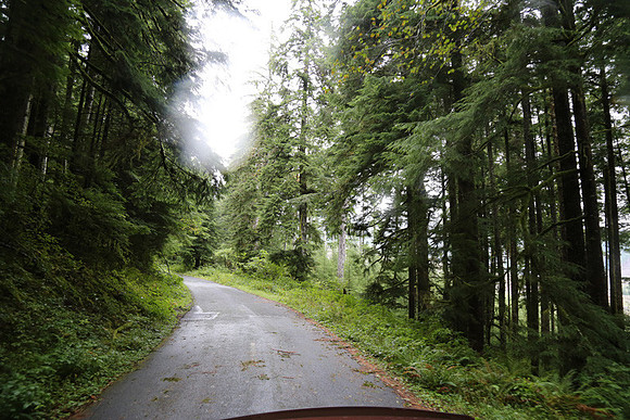 Saddle Mt Rd-0343