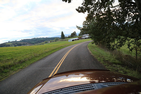 Woodland Ln-1776