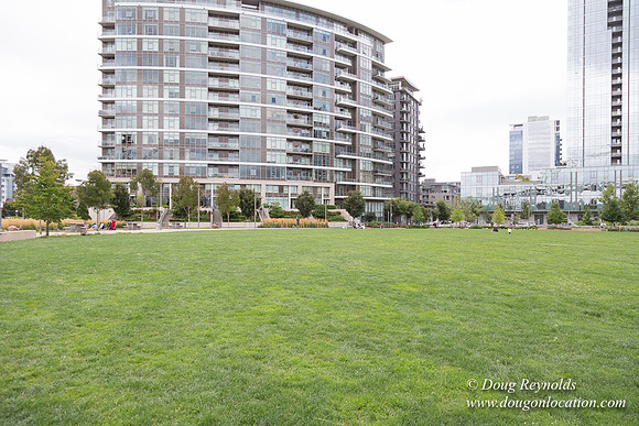 The Fields Park