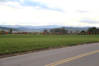 Morres Valley Rd-1678