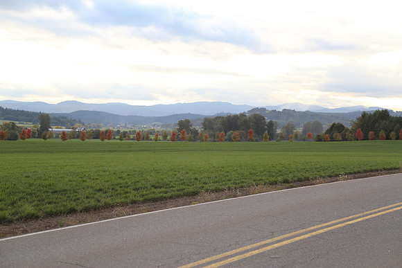 Morres Valley Rd-1678