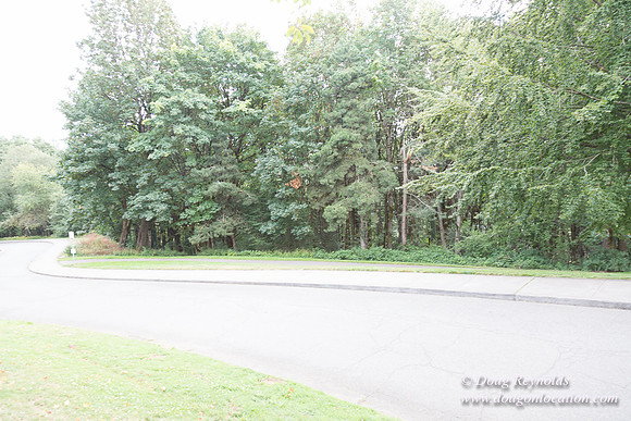 Council Crest Park View