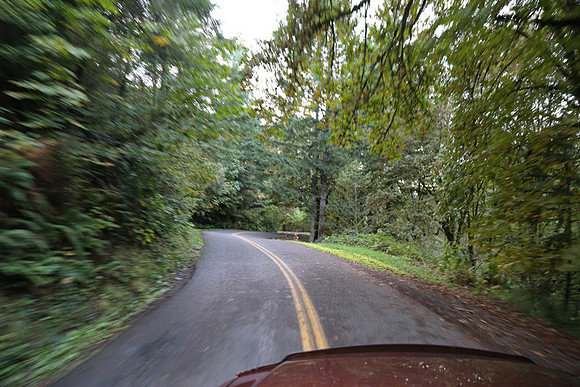 Woodland Ln-1757