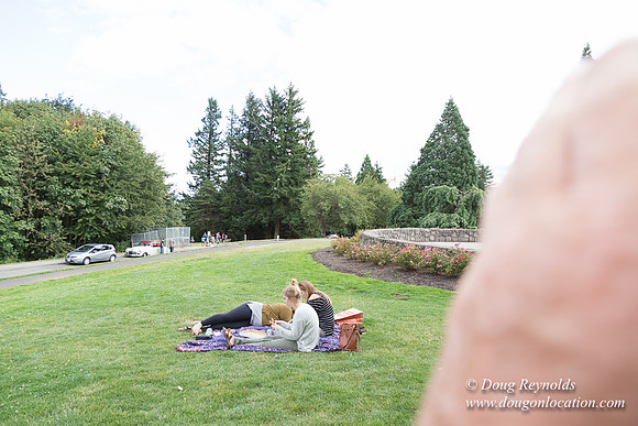 Council Crest Park View