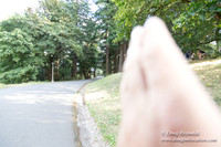 Mt tabor View 2 East
