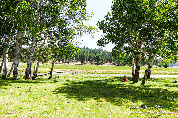 Ranch 18