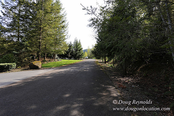 Brians Pond & Drive-9919
