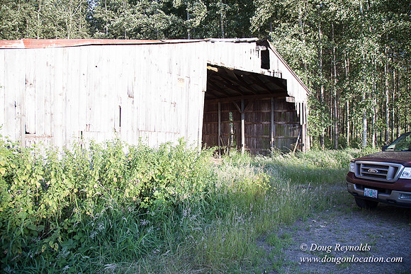 LCG & GWG Tree Farm