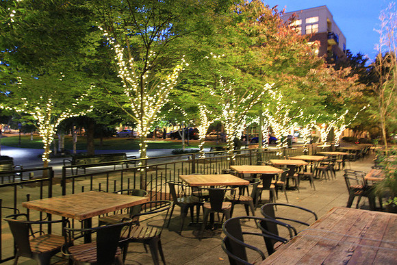 Jamason Park-6570