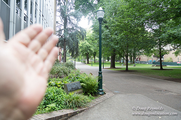 Portland Streets