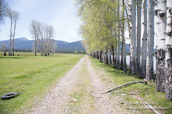 Ranch 18