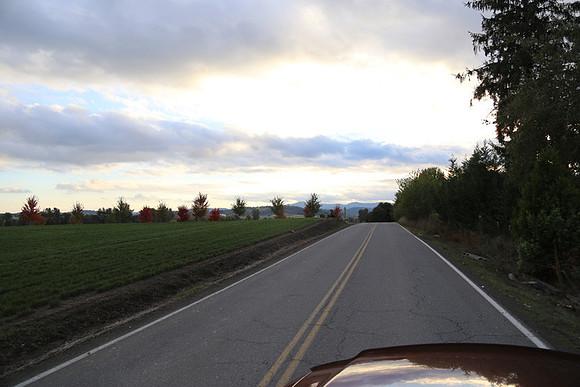 Morres Valley Rd-1694
