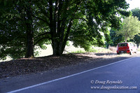 Moores Rd 2-7030