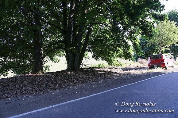 Moores Rd 2-7030