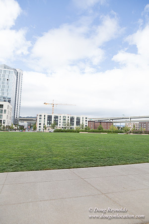 The Fields Park