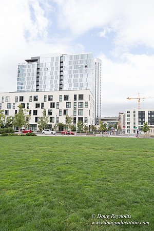 The Fields Park