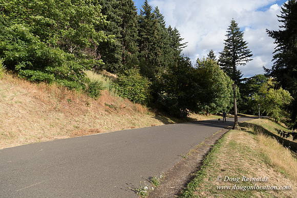 Mt Tabor- View 4 West