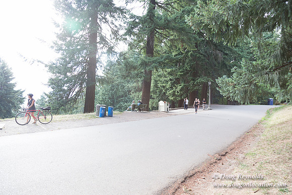 Mt Tabor Top- View 3 West