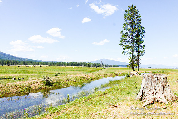 Ranch 18