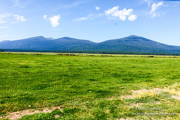 Ranch 18