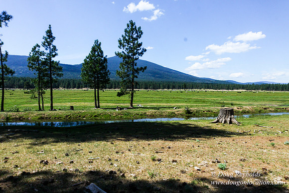 Ranch 18