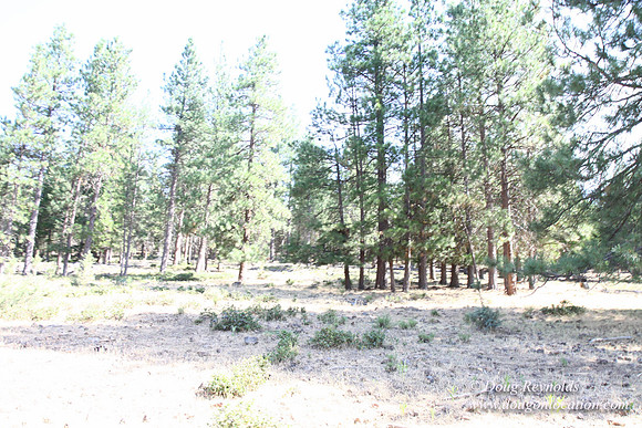 Ranch 18
