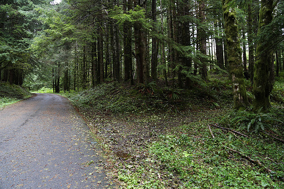 Saddle Mt Rd-0304