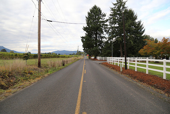 Dilly Rd-1531