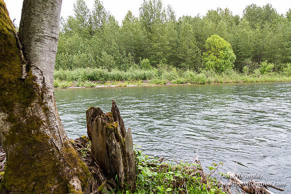 Ranch 21 at River