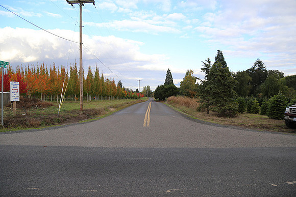 Dilly Rd-1554